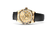 Rolex 326238 Sky-Dweller Champagne-Colour - New