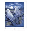 Owl-11CT Stamped Cross Stitch-40*50cm
