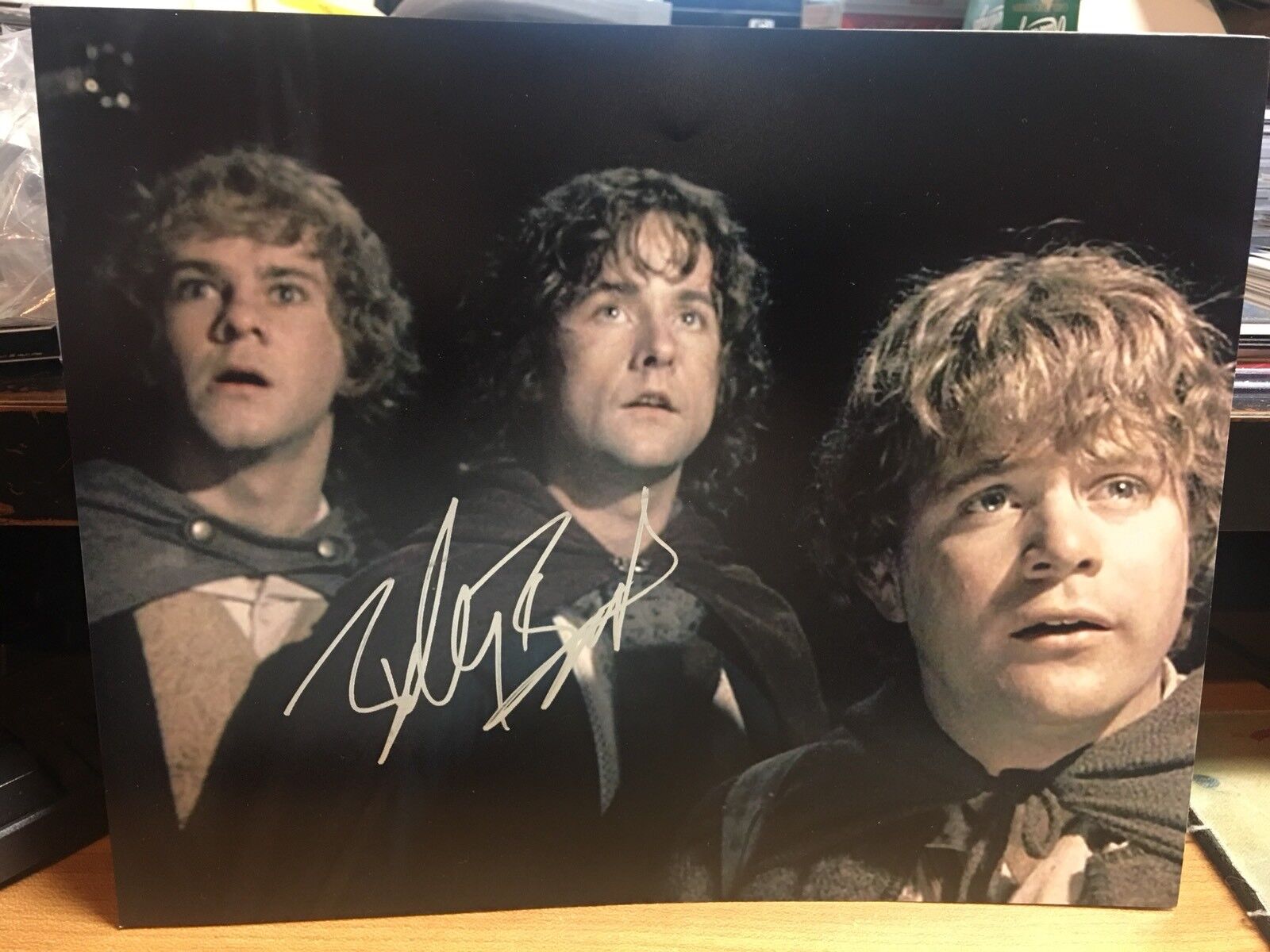 Billy Boyd Signed 8x10 Photo Poster painting Lord Of The Rings COA D13