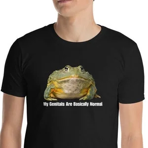 Pornhint NSFW Frog Normal Genitals Unisex TShirt Y2K Funny Meme Shirt Ironic Shirt Weirdcore Clothing Shirt Joke Gift Oddly Specific Lewd NSFW