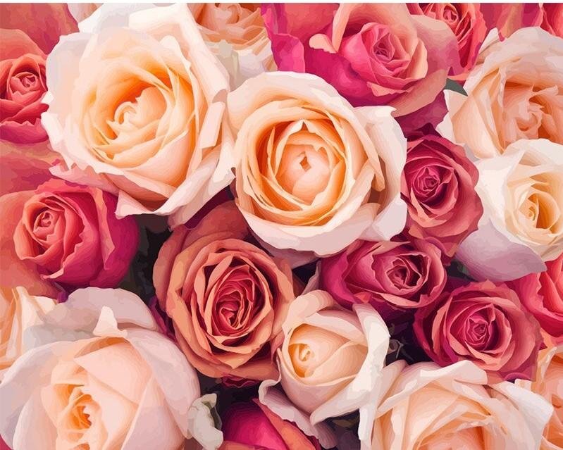 

Pink Blooming Roses – Paint By Numbers - 40*50CM, 501 Original