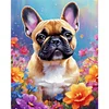 Bouledogue-Carré Diamant Peinture-45*55CM