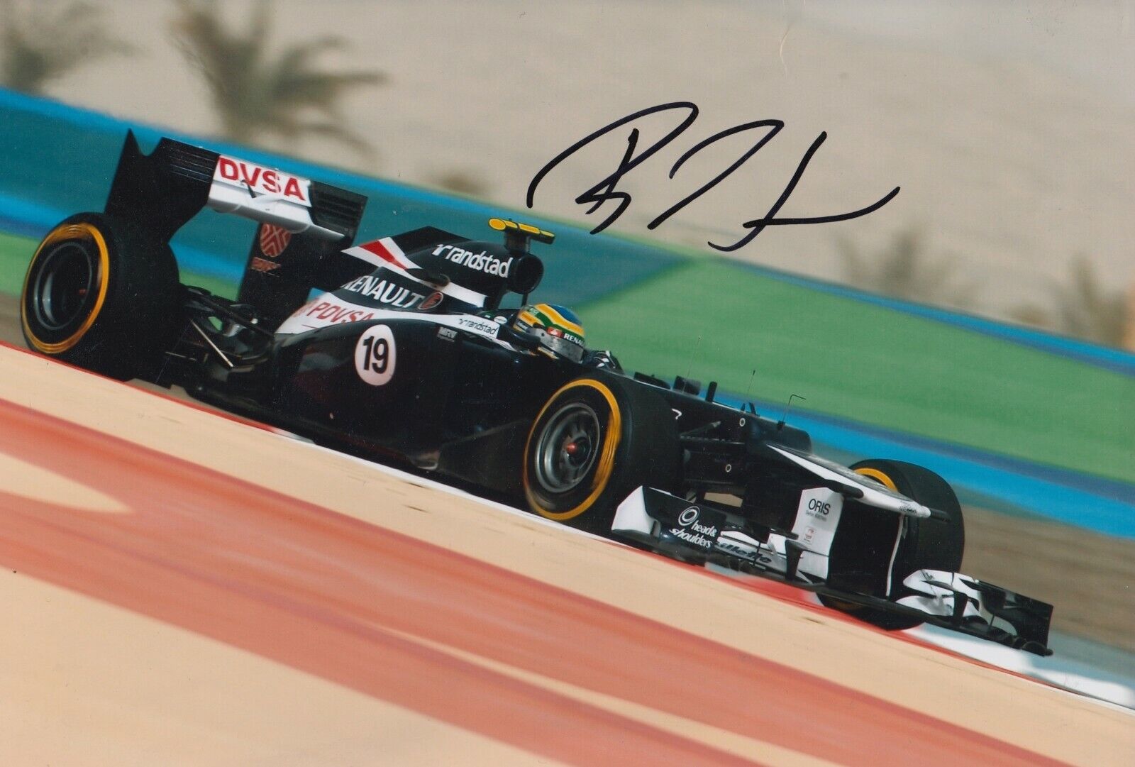 Bruno Senna Hand Signed 12x8 Photo Poster painting - Formula 1 Autograph F1.