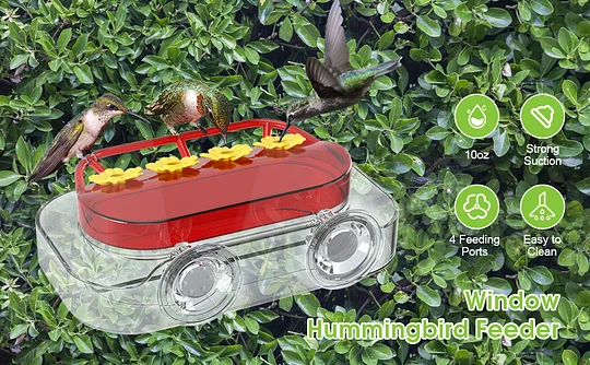 umming Feeder for Hummer Birds
