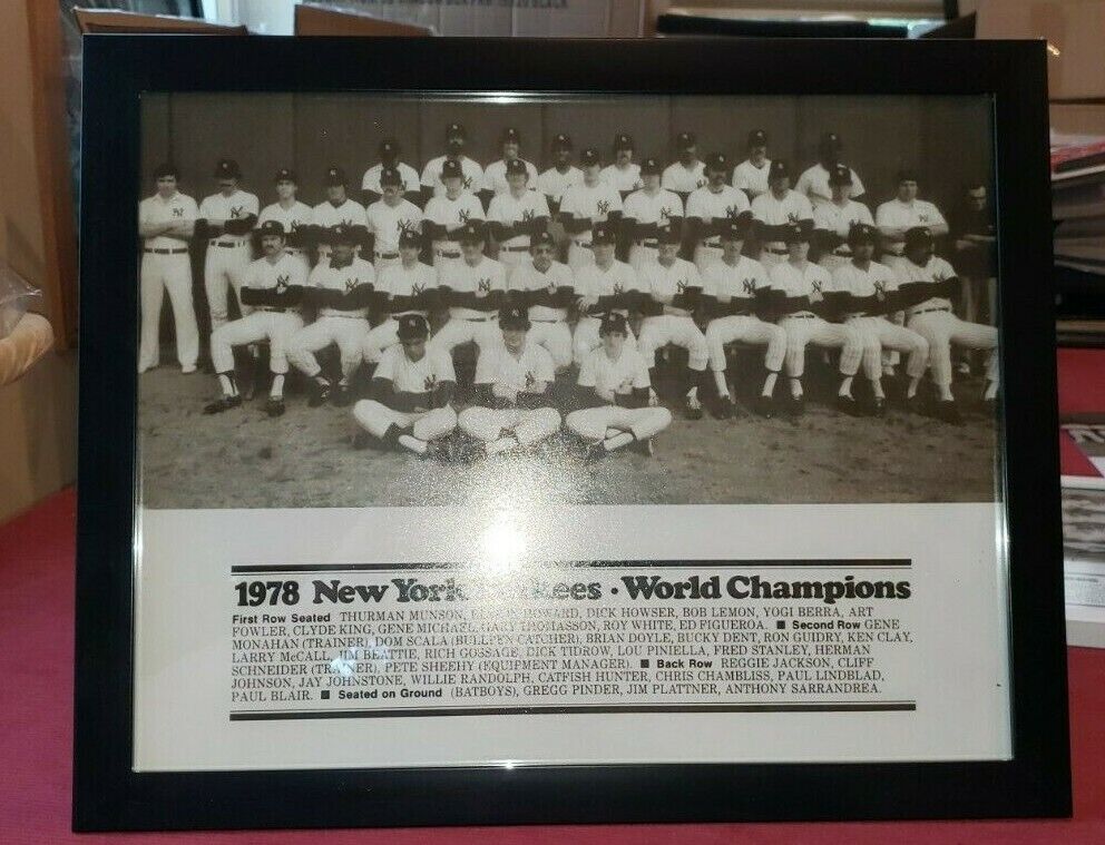 Framed 1978 New York Yankees World Champion Team 11x14 Photo Poster painting Poster NewOld Stock