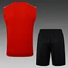 2025/2026 Flamengo Pre-Match Training Red Vest+Shorts Football1:1 Thai Quality