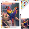 (5 Sizes)Parrot-Full Square Diamond Painting