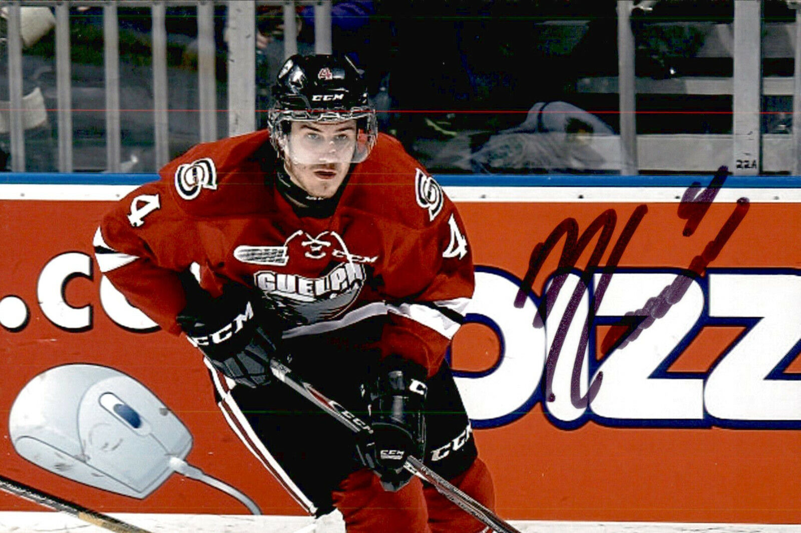 Noah Carroll SIGNED 4x6 Photo Poster painting GUELPH STORM / CAROLINA HURRICANES