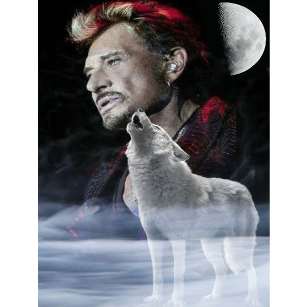 essayer de johnny hallyday