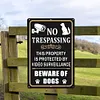 No Trespassing - Metal Tin Signs(8*12Inch/12*16Inch)