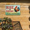 Chicken - Metal Tin Signs(8*12Inch/12*16Inch) - Animal
