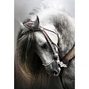 Horse-11CT Stamped Cross Stitch Kit(36x46cm)