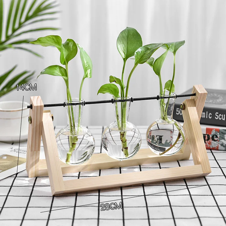 Glass Propagation Vase With A-frame Wooden Stand | AvasHome