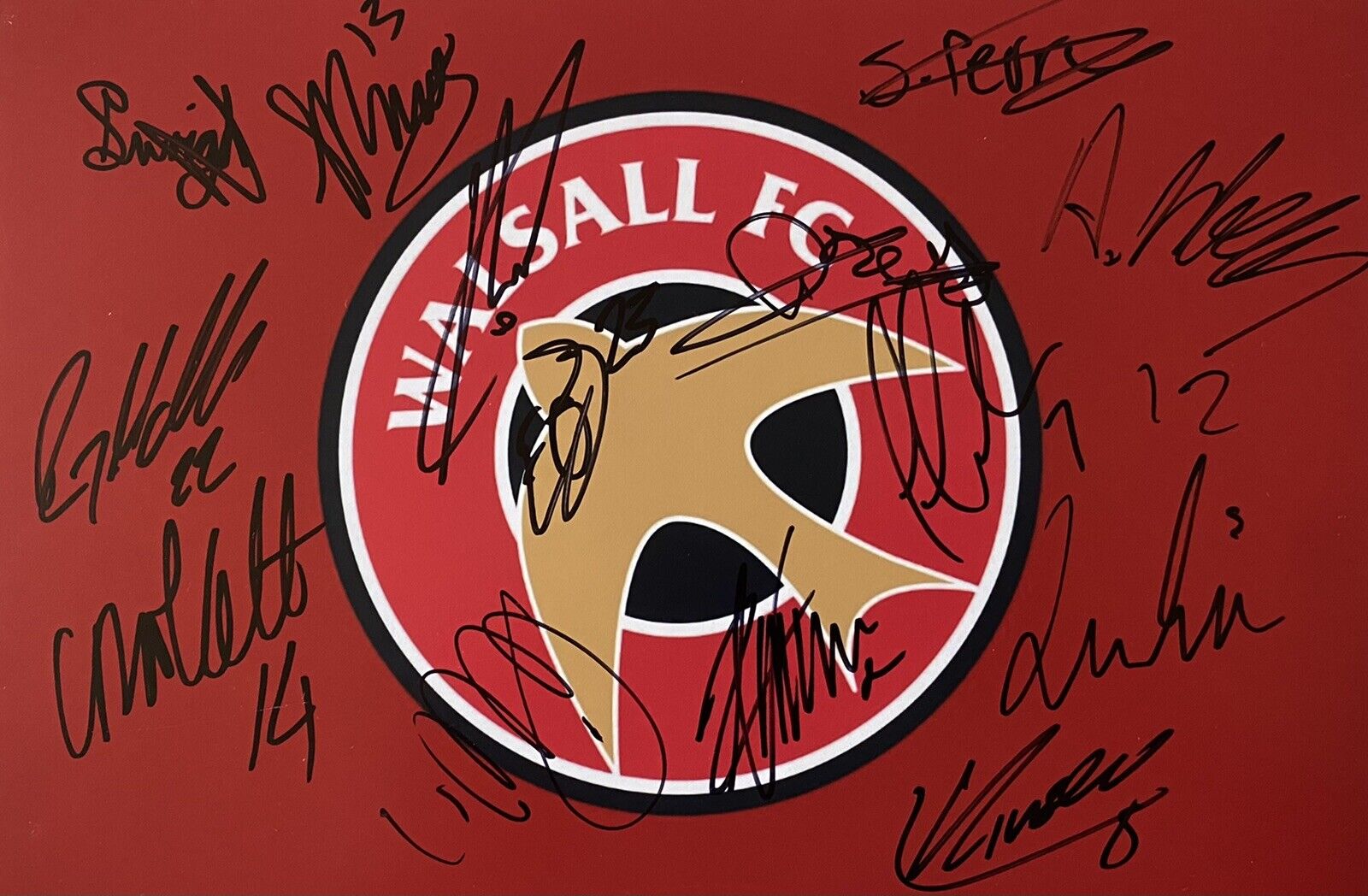 Walsall 12x8 Photo Poster painting Signed By 2020/21 Squad Inc Gordon, Lavery, Exact Proof 2