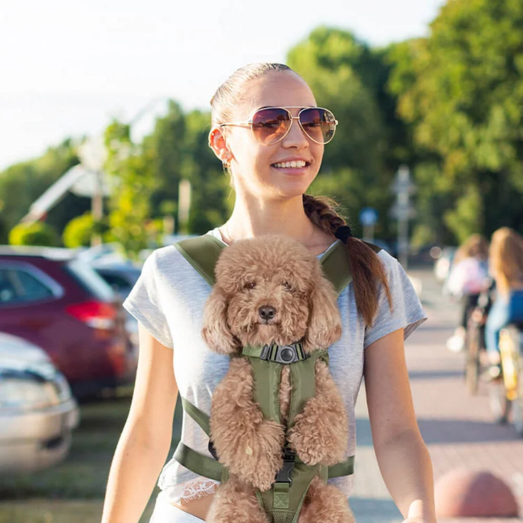 Dog Carrier Backpack - Cockpit