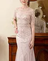 Elegant Embroidered Mesh Evening Gown