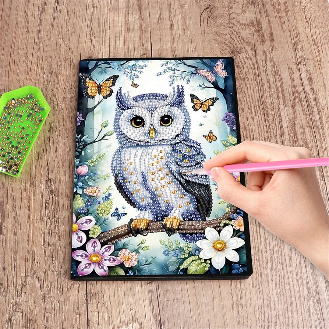 2pcs Owl Partial DIY 50 Pages A5 Diamond Painting Notebook for Study Drawing