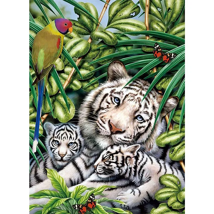 White Tiger - Full Round Drill Diamond Painting - 30x40cm(Canvas)