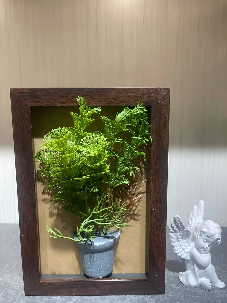 Lifelike Artificial Fern Framed Botanical Shadow Box Display（Size 6.5*9.5 in）