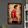 Joao Felix Footballer - Vintage Metal Signs - 20*30cm