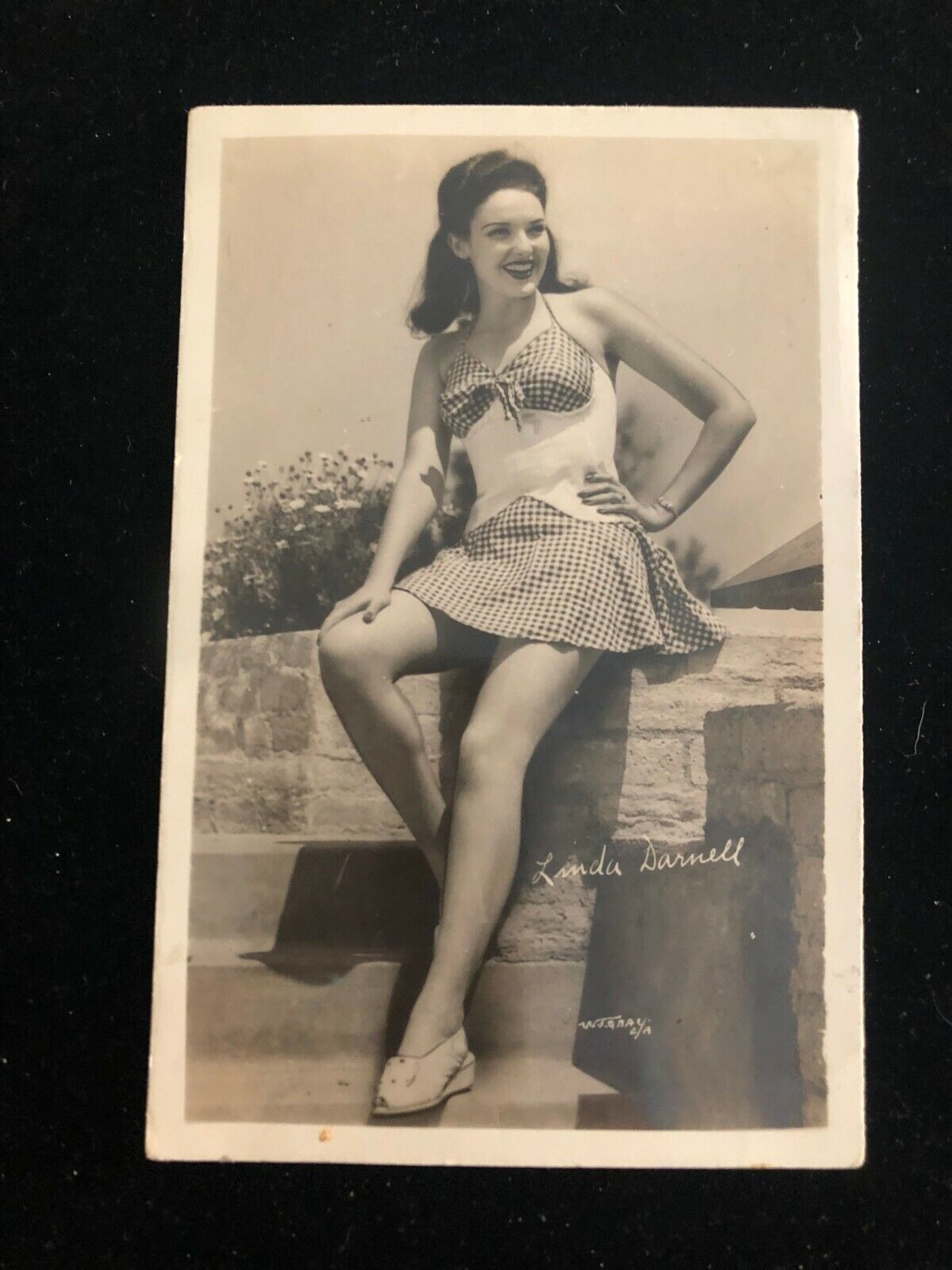 Linda Darnell Glossy Photo Poster paintinggraph / Postcard Style - Circa 1940's