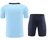 2024 France pre-match training Light Blue Shirt+Shorts 1:1 Thai Quality
