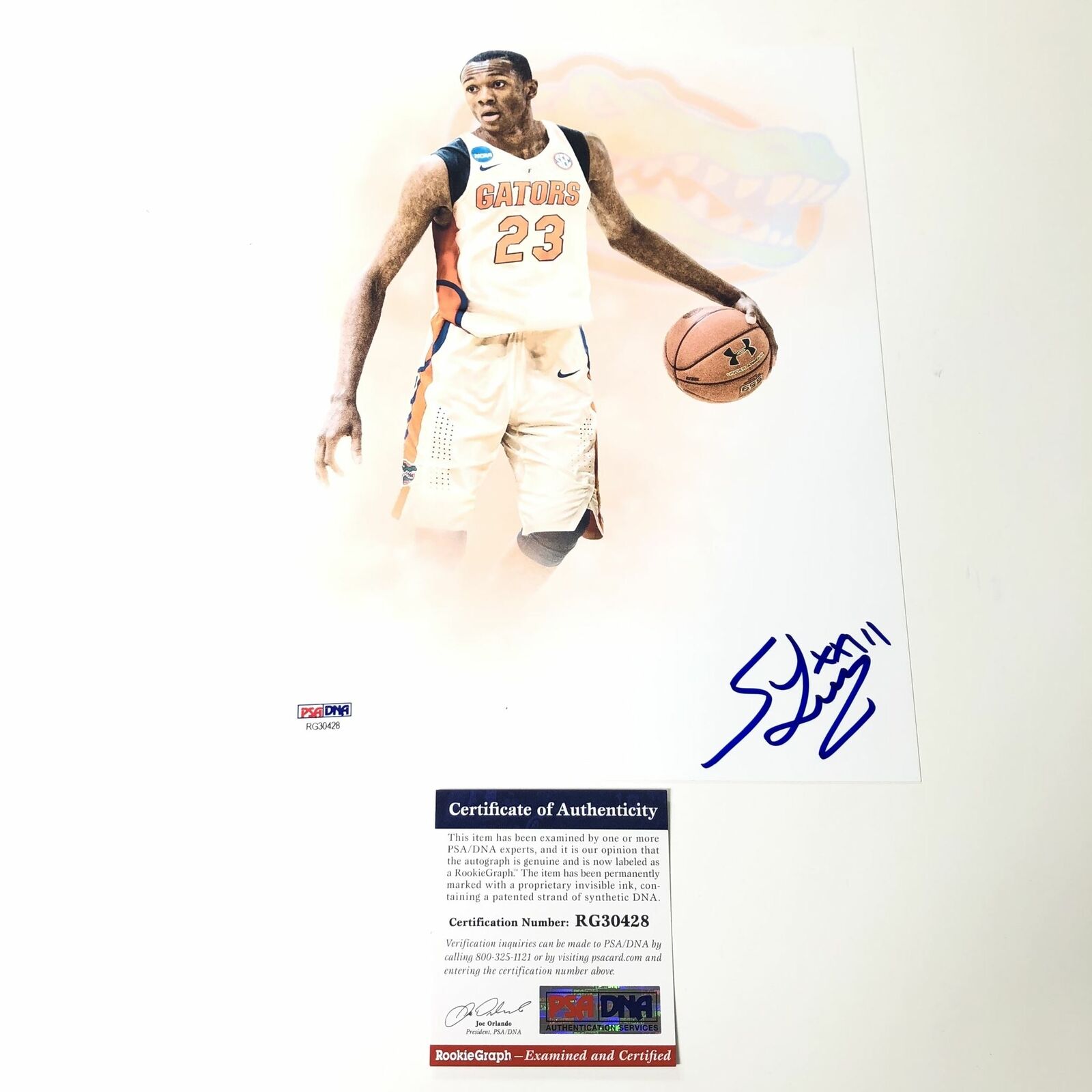 Scottie Lewis Signed 8x10 Photo Poster painting PSA/DNA Florida Gators Autographed