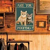 Funny"Are You Pooping Cat" - Vintage Metal Signs(12*16Inch) - Cat
