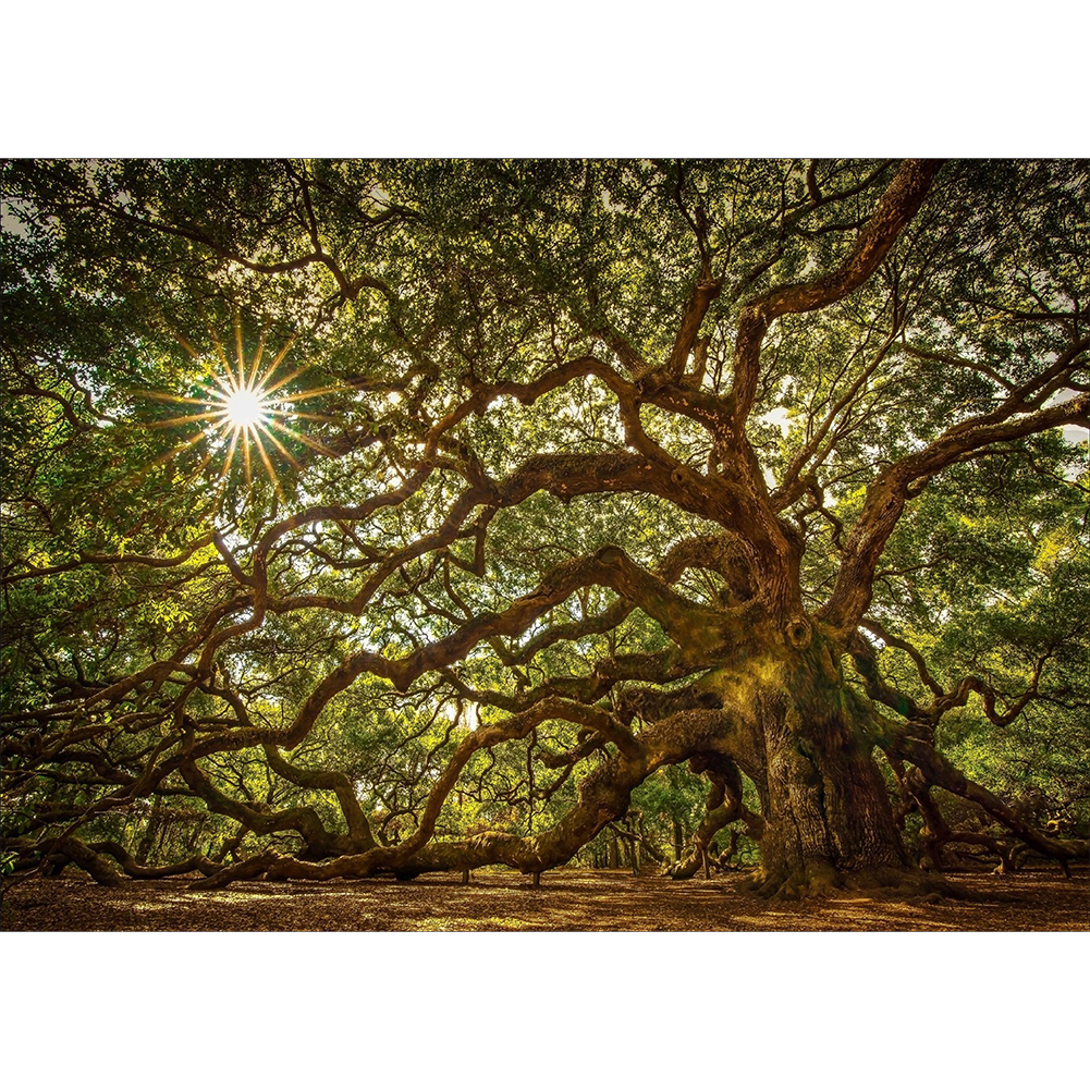 

40*30CM - Round Drill Diamond Painting - Tree Forest, 501 Original