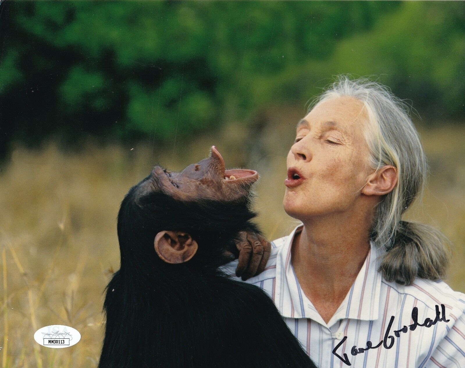 Jane Goodall hand SIGNED 8x10 Photo Poster painting #1 JSA COA Chimpanzee Expert Anthropologist