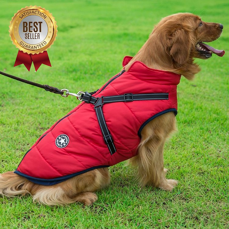 (WINTER BIG SALE - 50% OFF) Waterproof Winter Jacket With Built-In Harness(BUY 2 FREE SHIPPING)