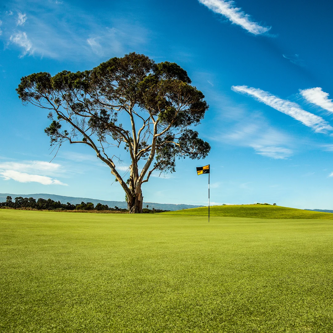 Pure Select Creeping Bent Grass