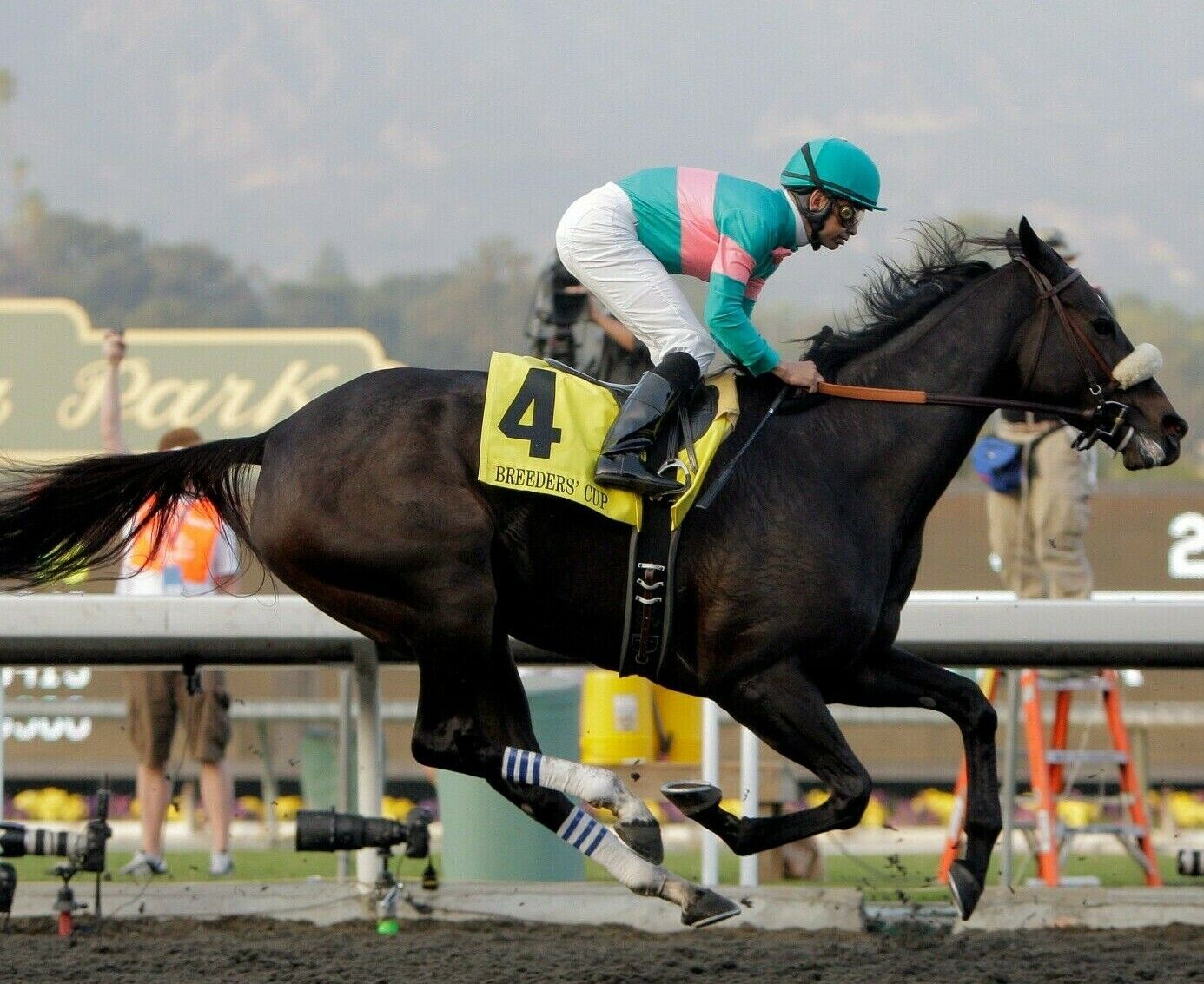 Mike Smith ZENYATTA 2009 Breeder's Cup Classic Horse Racing 8x10 Photo Poster painting HOT