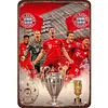 Bayern Munich Football - Vintage Metal Signs(8*12Inch)