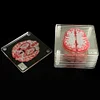 Brain Slice Acrylic Coasters Table Mats Party Favors