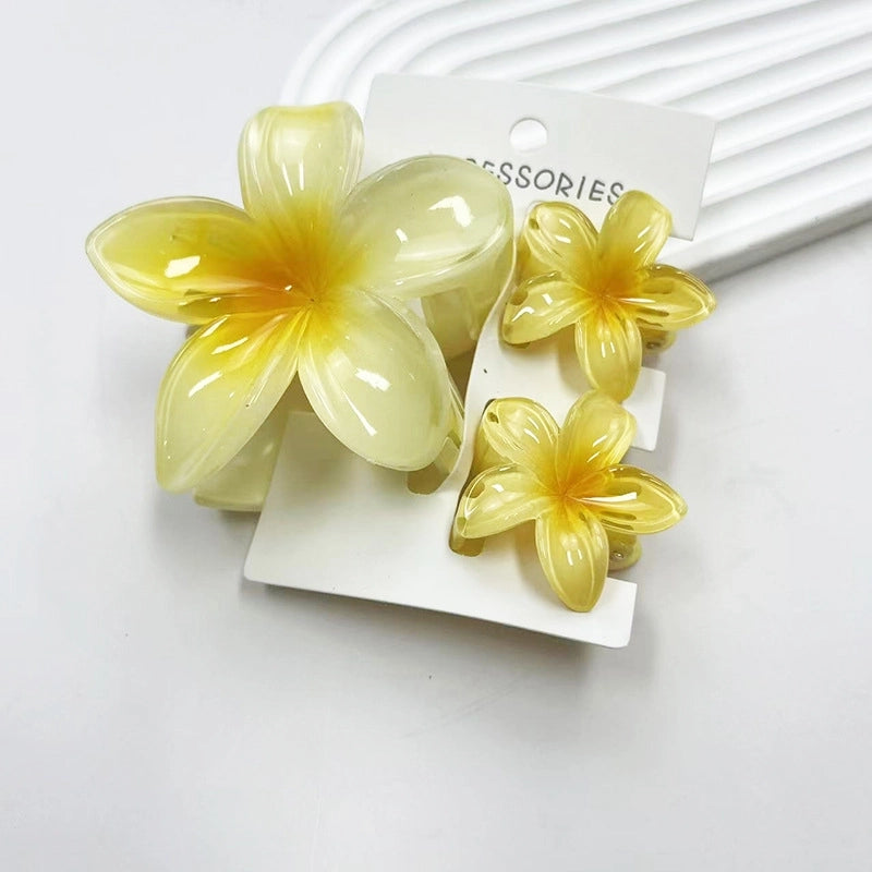 Vacation Modern Style Women’s Flower Resin Hair Claws