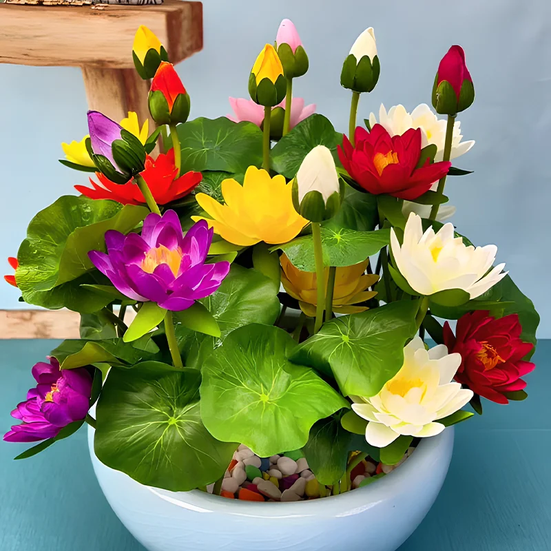 🔥【7 days germination】💐The Sacred Bonsai Bowl Lotus Flower