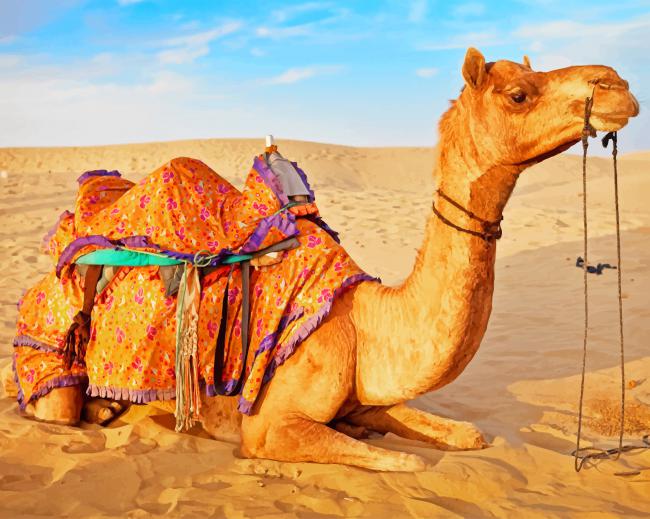 

Camel In Desert – Paint By Numbers - 40*50CM, 501 Original