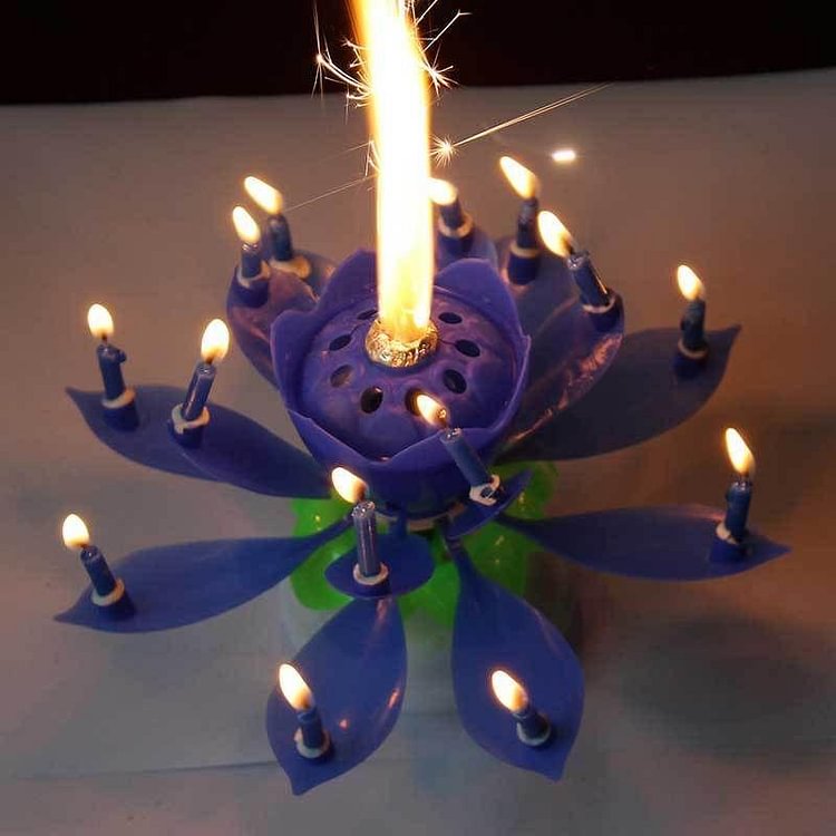 blooming musical candle
