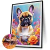 Bouledogue-Carré Diamant Peinture-45*55CM