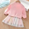 Kid Baby Girl Winter Unicorn Rainbow Tulle Dresses