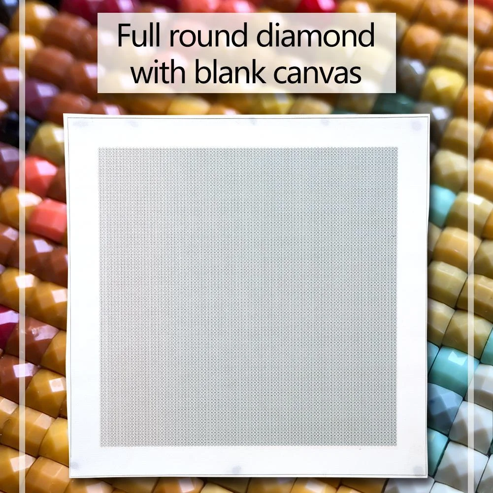 Blank Embroidery Full Round Drill Canvas DIY Diamond Painting (Canvas|30*30cm)