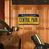 Central Park - Car License(6*12Inch)