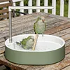Automatic Parrot Bathtub with Circulating Shower System Parrot Bath Shower for African Grey Cockatiel Conure Budgie Lovebird