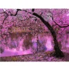 Pink Tree Lake | Full Round Diamond Painting Kits