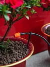 500Pcs Fixing Pole Garden Ground Rod Hose Support Rod for Vegetable Herbs Garden