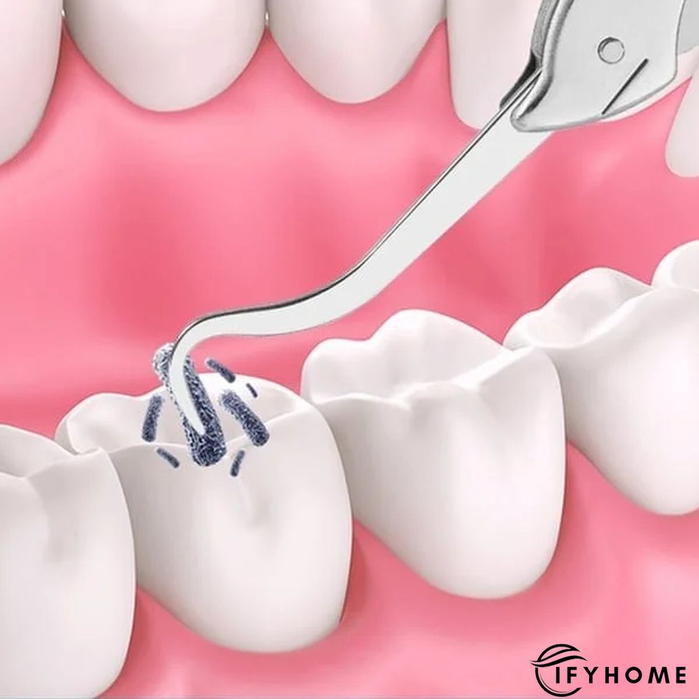 Multifunctional Folding Keychain | IFYHOME