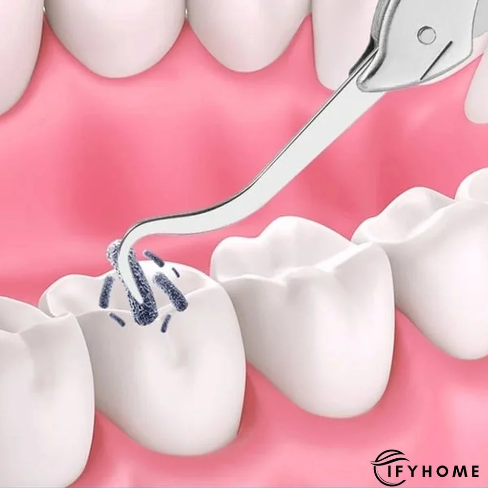 Multifunctional Folding Keychain | IFYHOME