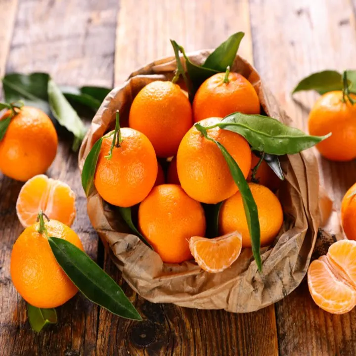 🍊Red Tangerine Seeds-Sweet, Juicy, Abundant Harvests