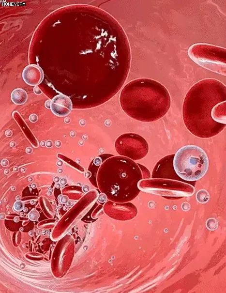 [#1 Best Products 2025]🔥Big Sale - 50% OFF🔥Non-Invasive Blood Glucose Meters